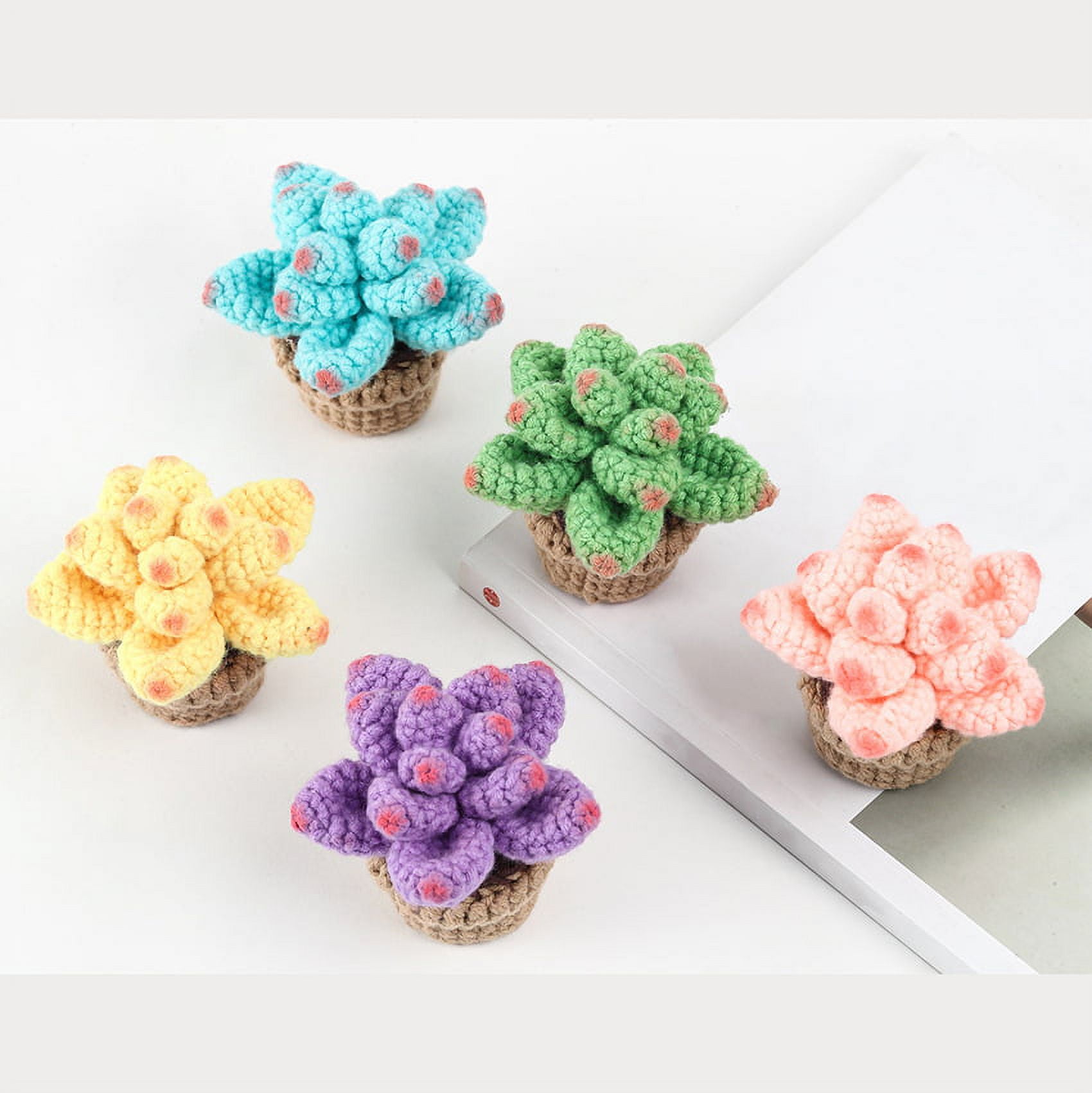 Beginner Crochet Kit for Adults,4pcs/set Beginner Crochet Learn to Crochet  Kit,Crochet Kits, Succulent Plants Crochet Set, Knitting Kit for Beginners  2024 - $27.99