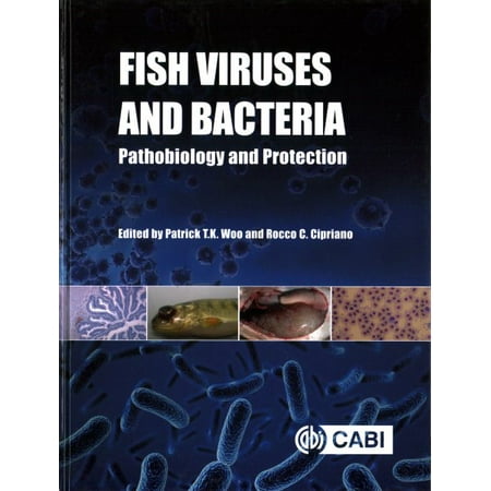 Fish Viruses and Bacteria : Pathobiology and (What's The Best Virus Protection)