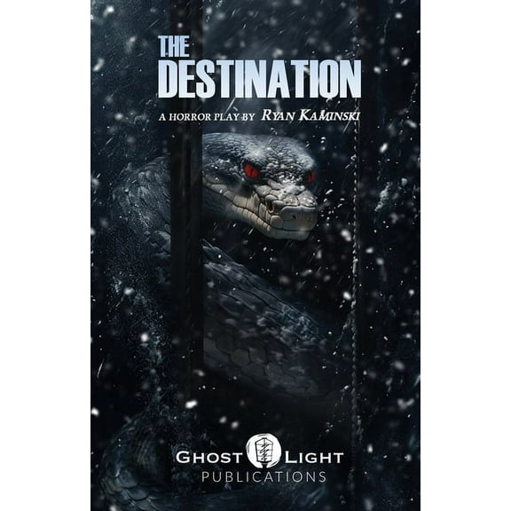 The Destination, (Paperback)