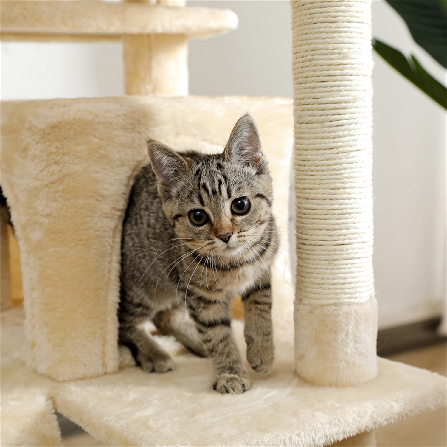 Pefilos 56" Cat Tree Tower for Indoor Cats, Multi-Level Play House Climber Activity Centre, Cat Sleeping Playground with Scratching Posts Dangling Ball, Beige Pefilos 56" Cat Tree Tower for Indoor Cats, Multi-Level Play House Climber Activity Centre, Cat Sleeping Playground with Scratching Posts Dangling Ball, Beige