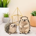 thumbnail image 4 of 2 Pcs Hedgehog Figurines – Miniature Resin Animal Statues for Home, Garden, or Fairy Decor – Charming Whimsical Sculptures for Shelf, Desk– Gift for Nature Lovers & Animal Figurine Collectors, 4 of 9