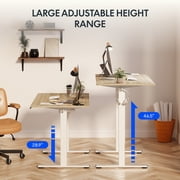 FitStand 48x24 Adjustable Standing Desk, One-Piece Desktop Ergonomic Sit Stand Desk with 176lbs Load, 4 Memory Height Settings, 2 Hooks for Home Office, Light Brown