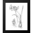 thumbnail image 2 of Harper, Ethan 12x14 Black Modern Framed Museum Art Print Titled - Botanical Sketch IV, 2 of 5