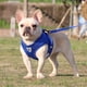 thumbnail image 3 of Arnés de pecho para mascotas, correa tipo chaleco para perros, cuerda reflectante y transpirable para perros, azul XL, 3 of 3