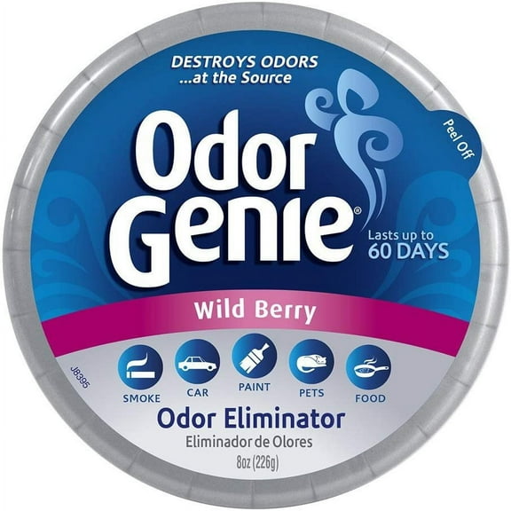 DampRid Odor Genie Odor Eliminator - Wild Berry Scent, Solid Gel - 8 oz