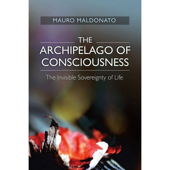 Archipelago of Consciousness, (Paperback)