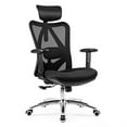 thumbnail image 1 of Gymax High Back Mesh Office Chair Adjustable Lumbar Support&Headrest Home Study Black, 1 of 10