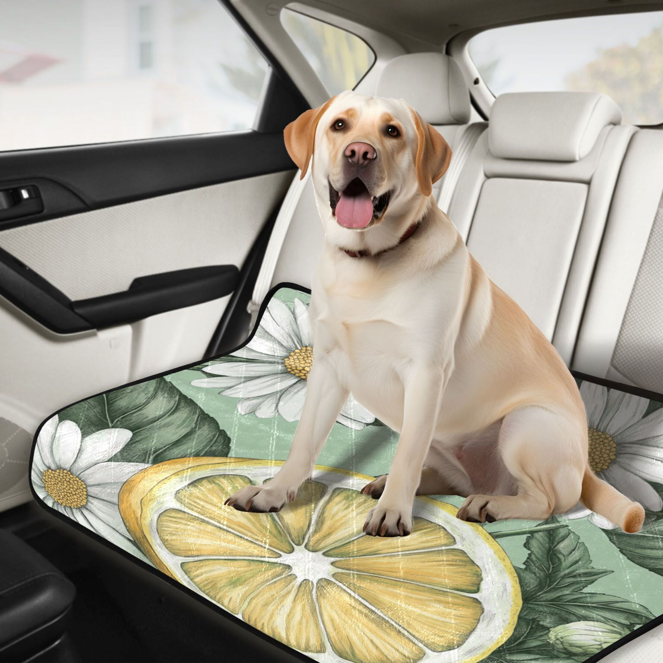 Qxltty White Daisies with Lemons Pattern Cat litter Pads Pet Set of 3 Diaper Mats Center Anti-leakage Layer Absorbent Soft and Comfortable