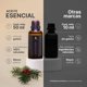 thumbnail image 2 of Aceite Esencial De Gualteria | 50 ml | Ingredientes Puros y Naturales | Wintergreen Essential Oil | B Life., 2 of 7