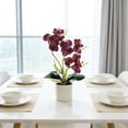 thumbnail image 5 of Gecau Artificial Phalaenopsis Silk Orchid Potted Plant Decorative Faux Flower Realistic Accent Arrangements for Desktop Office Wedding Centerpiece Long Lasting Easy Care Home, 5 of 5