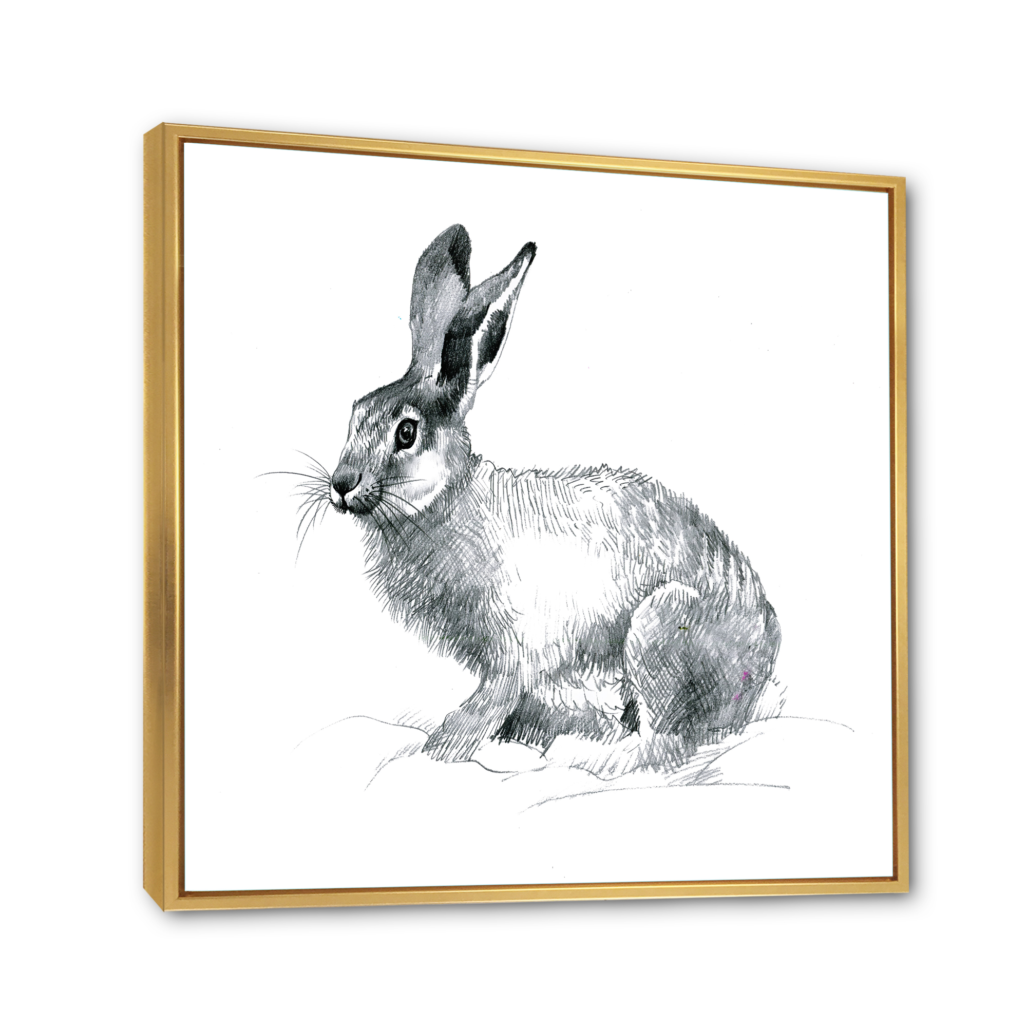 Designart 'Black and White Portrait Of Rabbit' Farmhouse Framed Canvas Wall Art Print