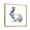 thumbnail image 3 of Black and White Portrait Of Rabbit 16 in x 16 in Framed Painting Canvas Art Print, by Designart, 3 of 5
