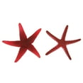 thumbnail image 3 of Fake Starfish, Nontoxic Simulation Luminous Starfish Movable Natural  For Fish  For Aquarium, 3 of 8