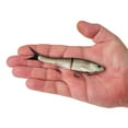 thumbnail image 2 of Berkley PowerBait® Nessie Fishing Bait, Shad, 5 in, Soft Swimbait, 2 of 3