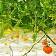 thumbnail image 1 of BALAHAPY Malla Trellis Para Plantas De Jardín Soporte Flexible Para Enredaderas, 1 of 7