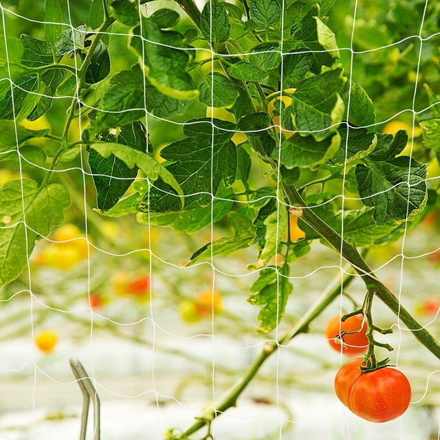 BALAHAPY Malla Trellis Para Plantas De Jardín Soporte Flexible Para Enredaderas