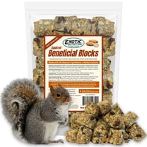Squirrel Beneficial Blocks - Healthy & Unique Supplemental Food with Nuts & Seeds for Squirrels