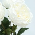 thumbnail image 3 of My Texas House Faux Peony Bundle, White, 19", 3 of 5