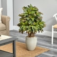 thumbnail image 2 of Nearly Natural Plastic 3.5' Croton Artificial Plant in Sand Colored Planter, Green, 2 of 4