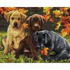 thumbnail image 1 of 14CT Punto de cruz completo Tres perros contados DIY Animal Wall Art Crafts Home Decor Tmvgtek decoración de arte en el hogar, 1 of 9