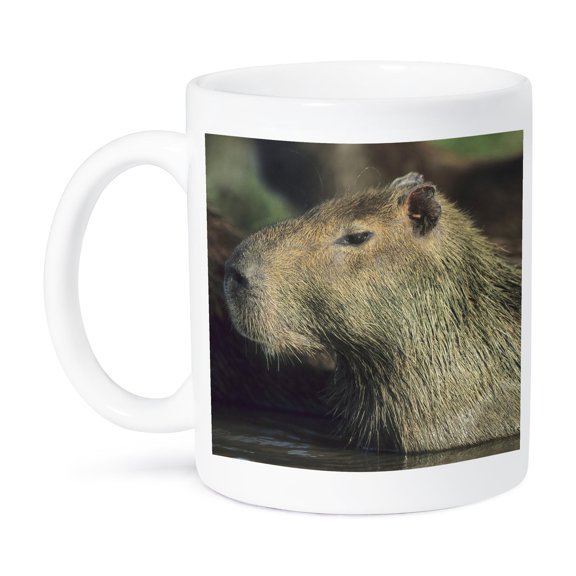 3dRose, Capybara wildlife, Llanos, Venezuela - SA20 KSC0009 - Kevin Schafer, 15oz Mug