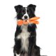 thumbnail image 2 of Weerihhol - Congelador para la dentición de cachorros, 1 pieza de juguete para perros, chirriador de látex, productos de entrenamiento para masticar, juguetes para perros con chirrido, juguetes de, 2 of 8