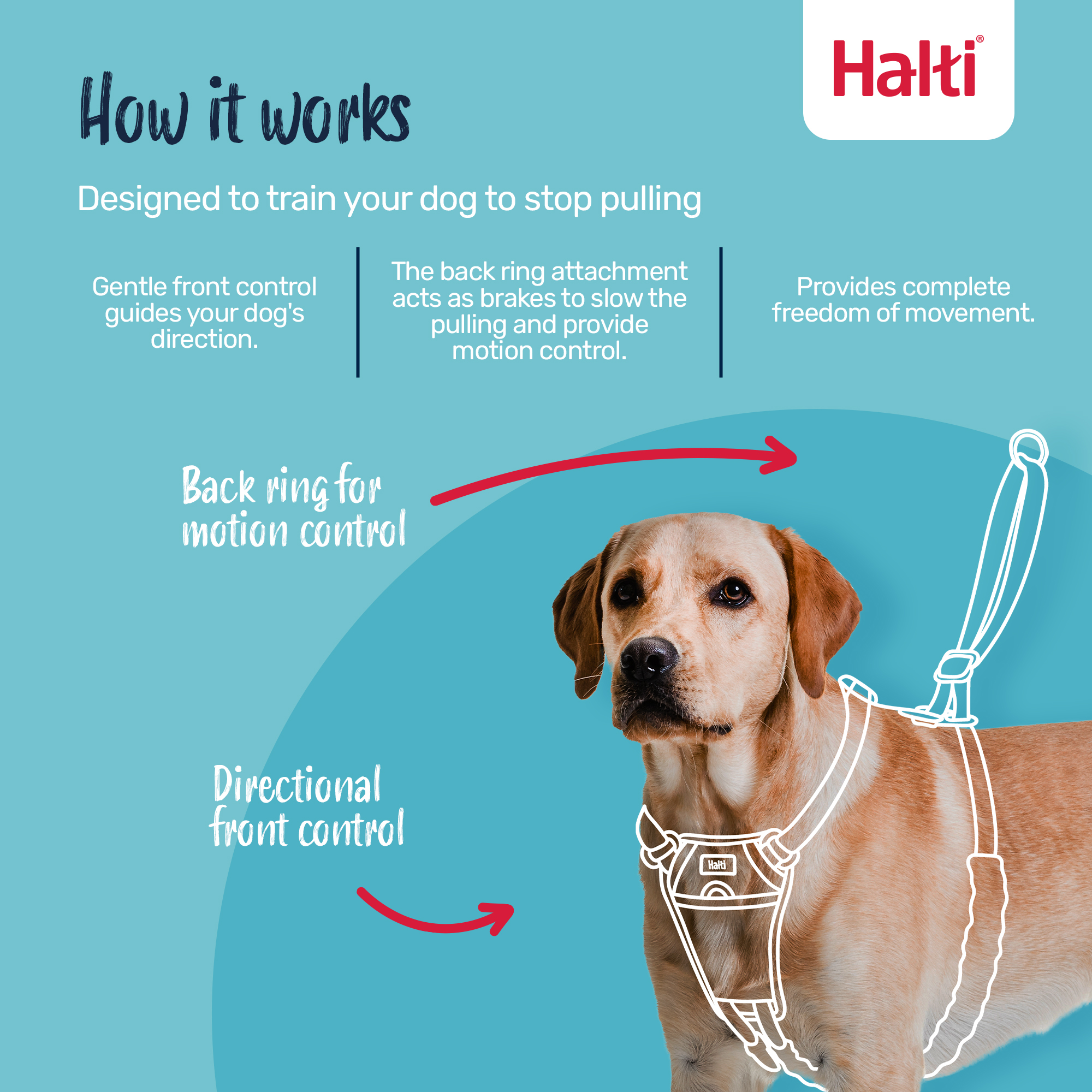 Halti No Pull Harness Medium Black photo 3