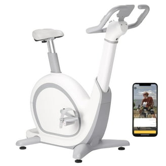 ProForm 320 SPX Indoor Cycle Exercise Bike