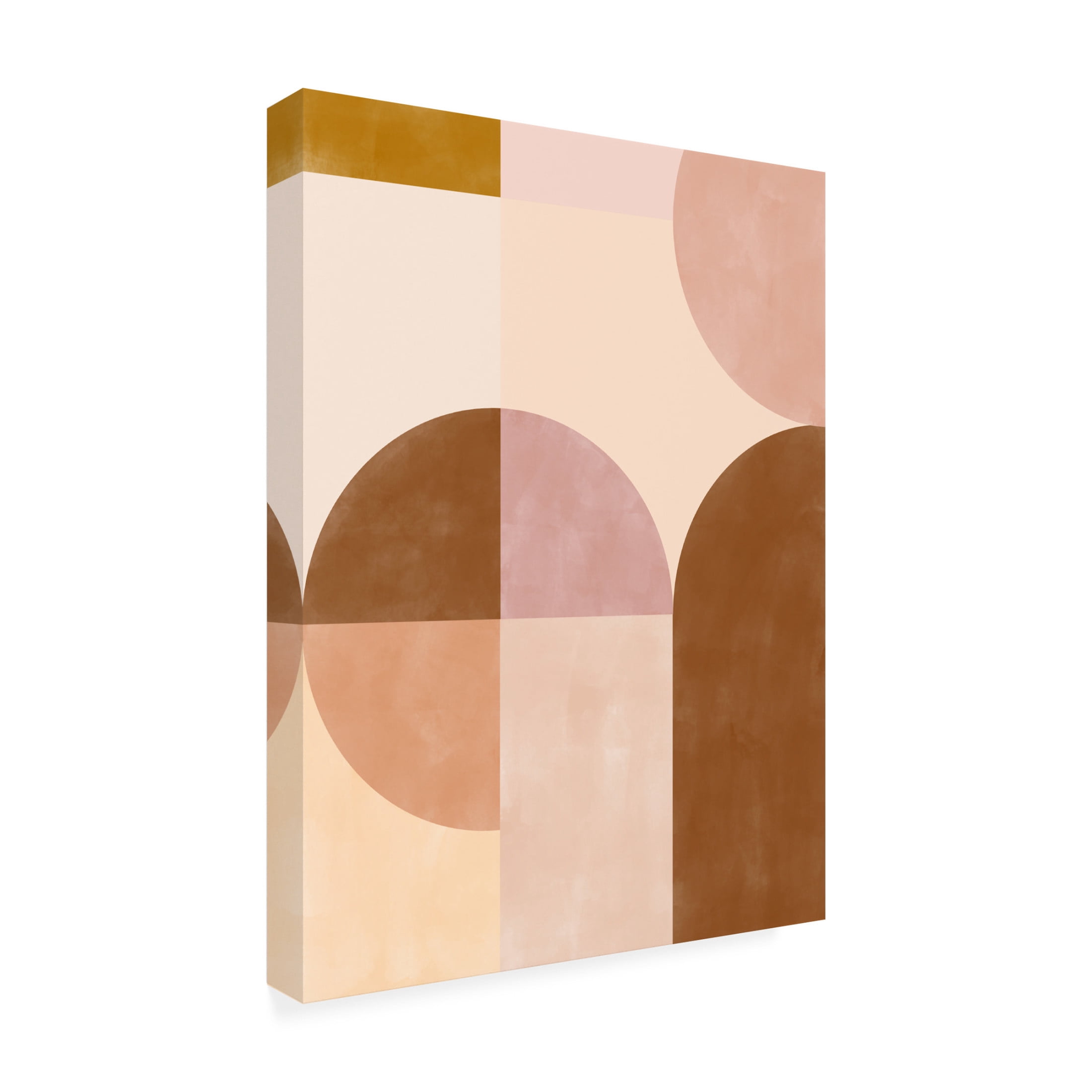 Trademark Fine Art Elena Ristova softpink36 Canvas Wall Art