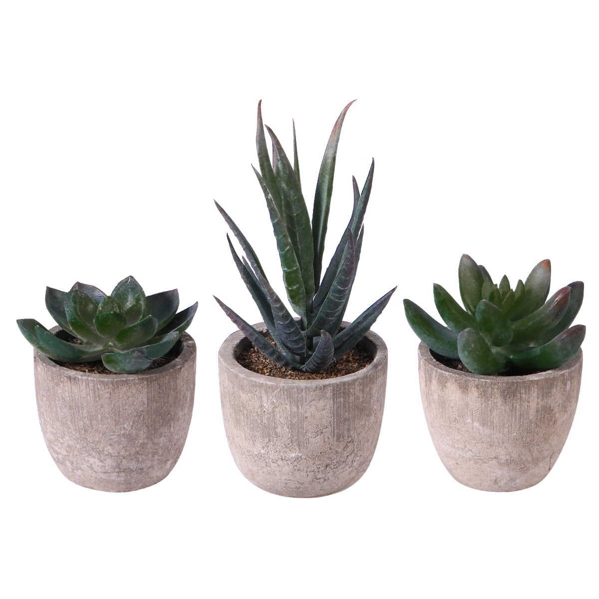 Little Valley 3 Large Succulent Potted Plants Artificial Perfect Window Decoration or Very Nice End Table Accent 7 x 5 Little Valley 3 Large Succulent Potted Plants Artificial Perfect Window Decoration or Very Nice End Table Accent 7 x 5