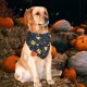 thumbnail image 5 of Pañuelos Para Perros Pañuelos para perros de Halloween cómodo cuello para mascotas bufanda para cachorros accesorios para gatitos Sywqhk Libre de BPA, 5 of 7