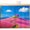 Pink, variant on Blue Cottage Cabinet Curtains 11" W x 13" L, Blue Tree Blue Field Path Landscape Nature Under-Desk Privacy Dust Proof Drape Dishwasher Curtain Sink Skirt for Kitchen Closet Bathroom Laundry