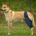 thumbnail image 3 of (XL) Dog Knee Pad Fixed Leg Strap Thigh Protector, 3 of 5