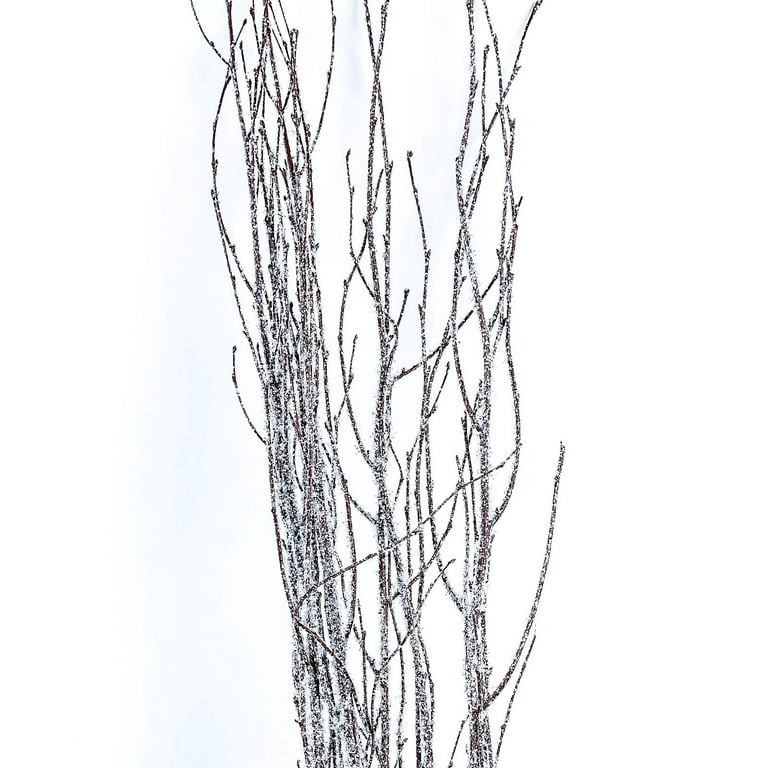 White Painted Birch Branches