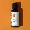 thumbnail image 6 of Plant Therapy Cinnamon Leaf Essential Oil 30 mL (1 oz) 100% Pure, Undiluted, Natural Aromatherpay, 6 of 8