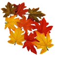 thumbnail image 5 of 10Pieces Colorful Plastic Maple Leaf With Natural Look For DIY Art Projects And Festival Decorations Multicolor, 5 of 5