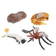 thumbnail image 3 of Juguete de ciclo de crecimiento de animales Sunnimix educativo para niños, 3 of 8