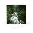 thumbnail image 5 of 3drose, Ohanapecosh River, Mt Rainier Park, Washington, Usa - Us48 Aje0053 - Adam Jones, 6 Greeting Cards with Envelopes, 5 of 7