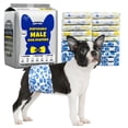 thumbnail image 1 of pañales desechables para perros Dono Male, 60 unidades, pequeños, 12 a 19 cm, 1 of 7