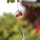 thumbnail image 1 of Glass Japanese wind chimes Room Home doorbell decoration Clouds, 1 of 5