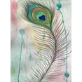 thumbnail image 2 of Pearson, Debbie 19x24 White Modern Wood Framed Museum Art Print Titled - Feather 555, 2 of 4