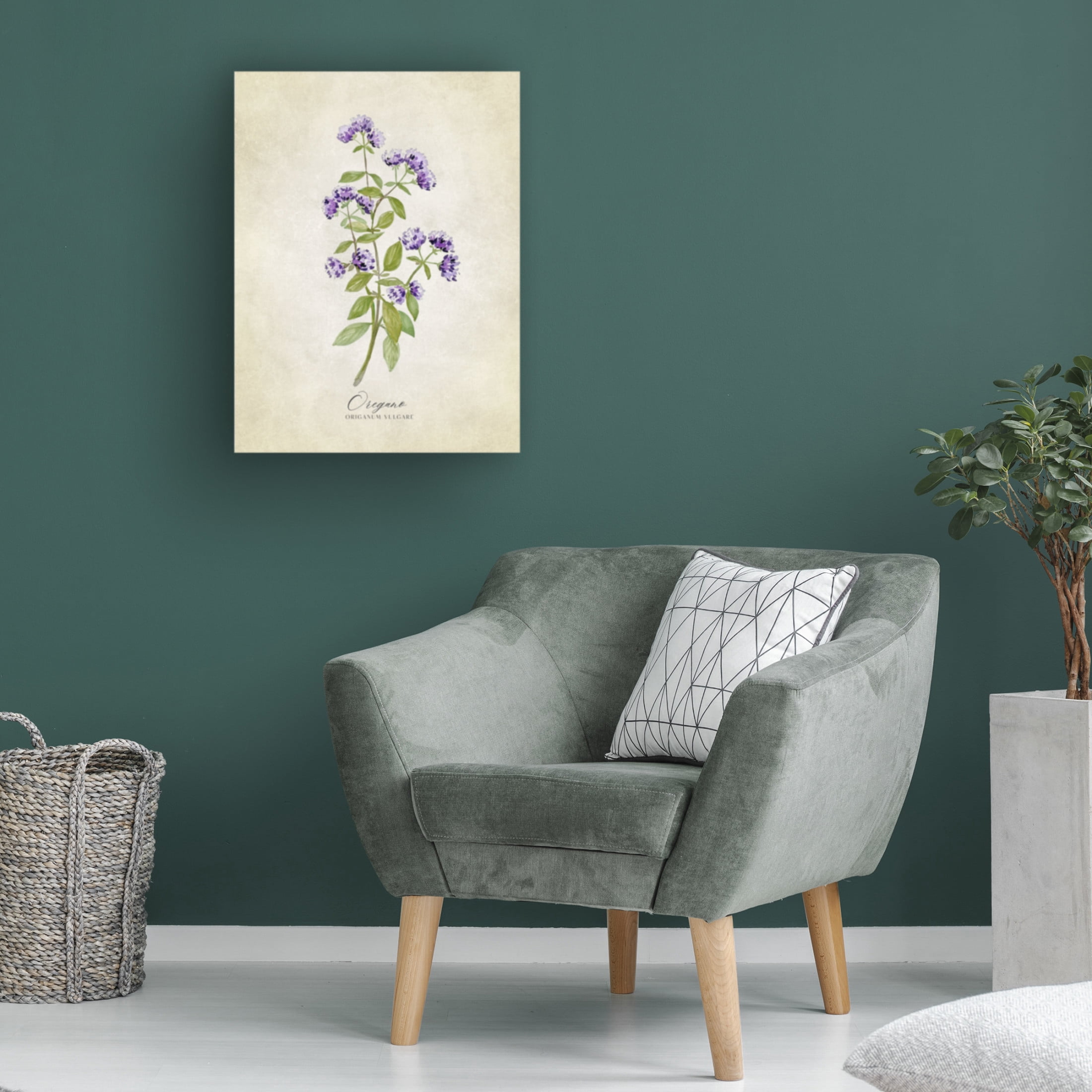 Trademark Fine Art Rosana Laiz Blursbyai Oregano vintage Canvas Wall Art