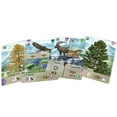 thumbnail image 4 of Expansión del juego de cartas alpino Forest Shuffle de Lookout Games: ¡36 cartas nuevas para una jugabilidad mejorada! Agrega un nuevo juego de estrategia de especies y árboles para niños y adultos ma, 4 of 4