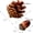 50Pcs +10Pcs, variant on 10Pcs Natural Pine Cones + 50Pcs Acorn Ornaments, Fake Acorn DIY Craft Decor, for Indoor Home Handmade Crafts, Fall Christmas Festival Party Decoration