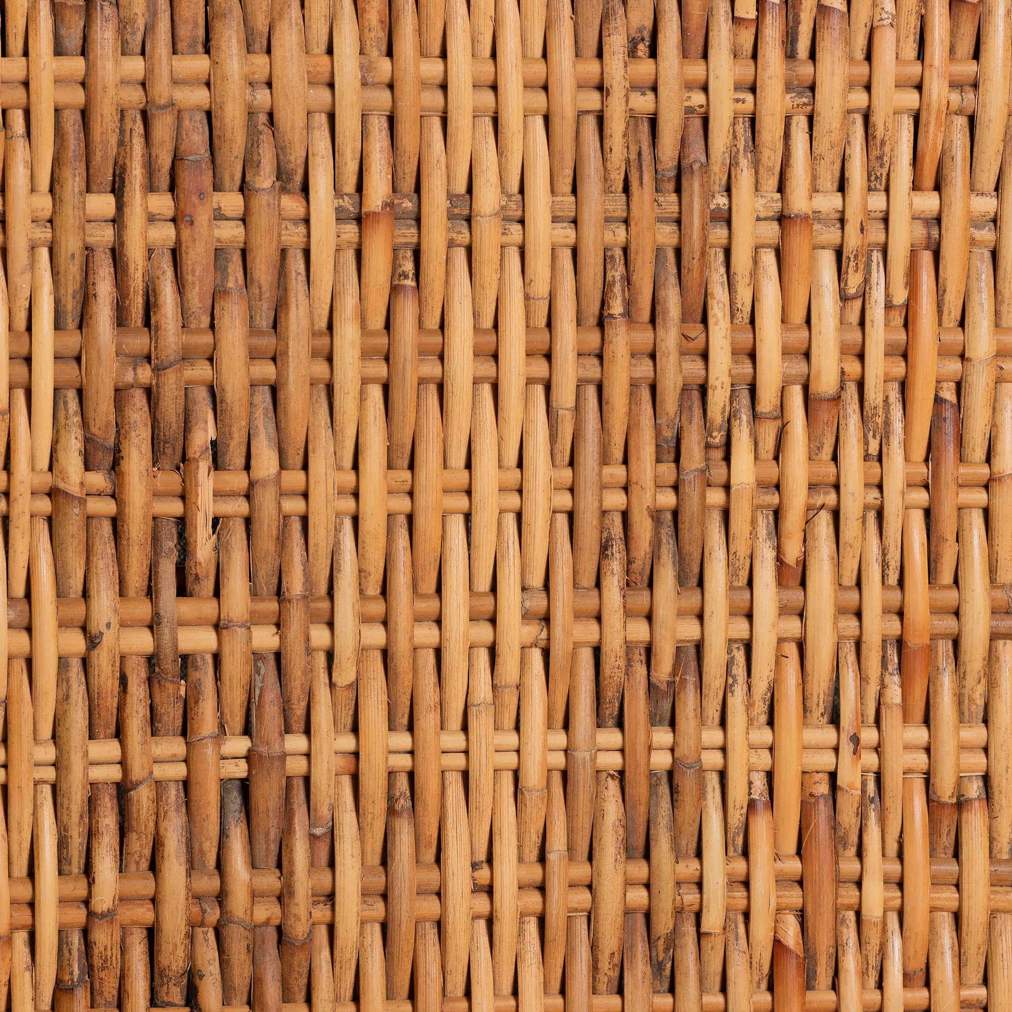 bali & pari Derris Boho Dining Chair, Light Honey