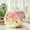 Pink, variant on Portable Plastic Small Animal Carrying Cage, Travel Breathable Pet Carrier Case for Hamster, Guinea Pig, Rabbit, Squirrel, Tortoise, Bird, Lizard, Sugar Glider