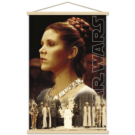 Star Wars: Saga – Princess Leia – Ceremony Wall Poster with Magnetic Frame 22.375 x 34