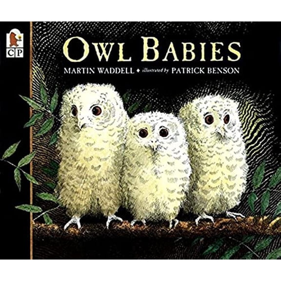 Pre-Owned Owl Babies (Paperback) 0763617105 9780763617103