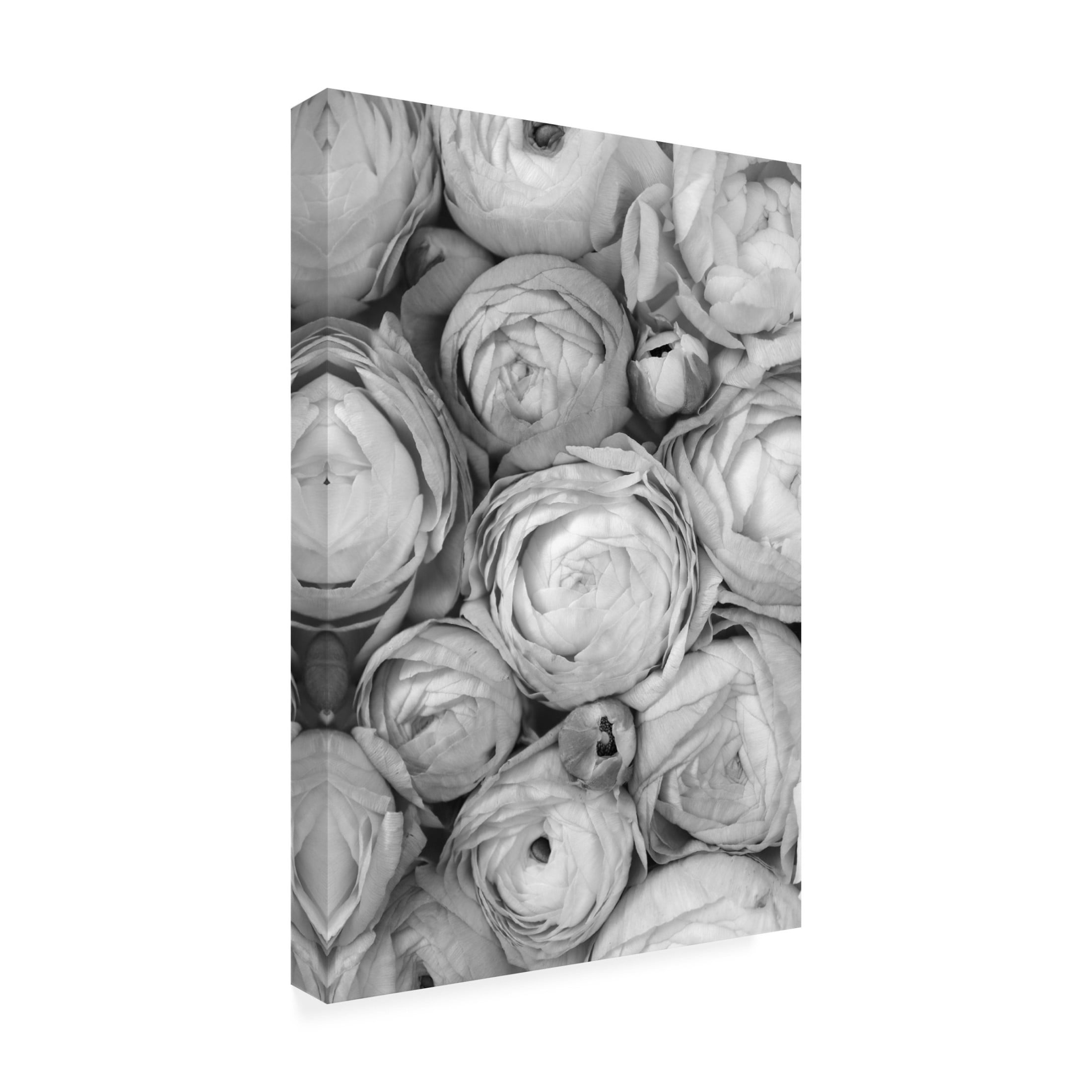 Trademark Fine Art Rosana Laiz Blursbyai Gray ranunculus Canvas Wall Art