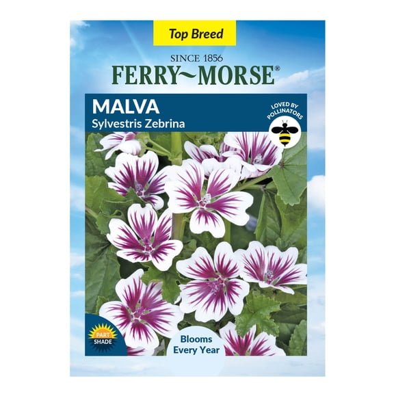 Ferry-Morse 140MG Malva Sylvestris Zebrina Perennial Flower Seeds, Part - Full Sun